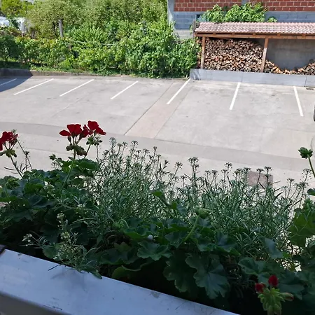 Appartamento Helena *